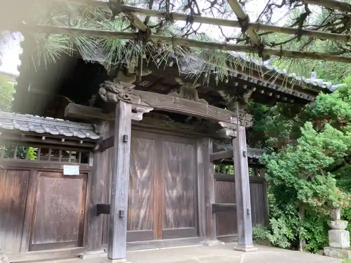 松蔭寺の山門