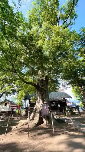 白鳥神社(長野県)