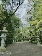 香取神宮の建物その他