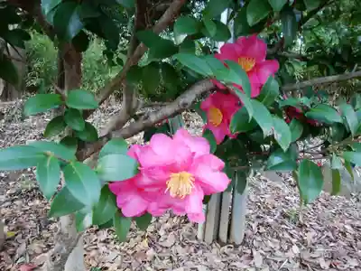 上野大佛(東京都)