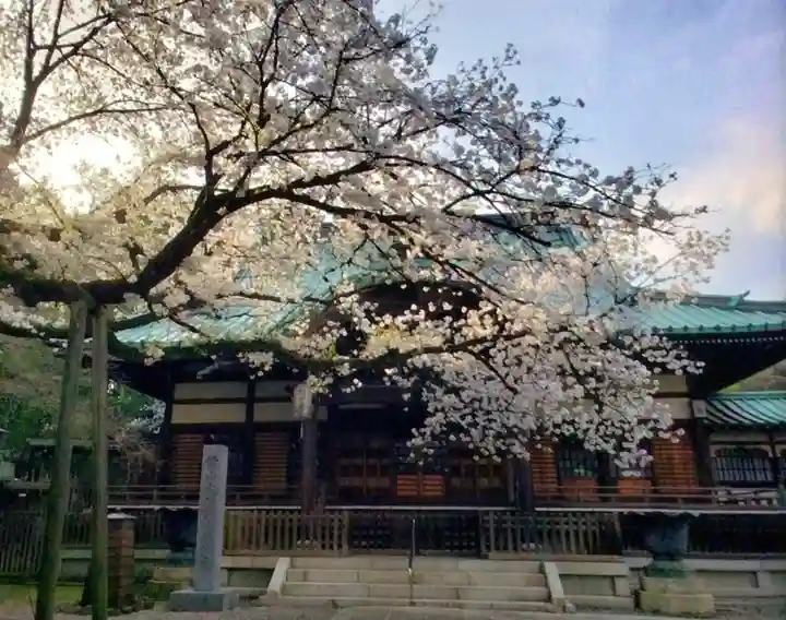 龍光寺(東京都)