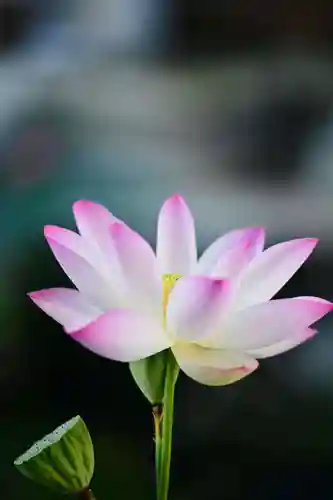 浄土寺(兵庫県)