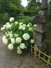 地蔵寺(群馬県)