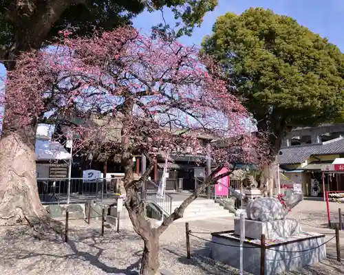 山田天満宮(愛知県)