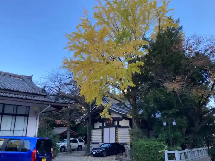 日枝神社の自然