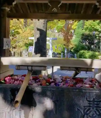 鳩森八幡神社の手水舎