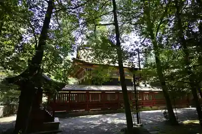 一之宮貫前神社(群馬県)