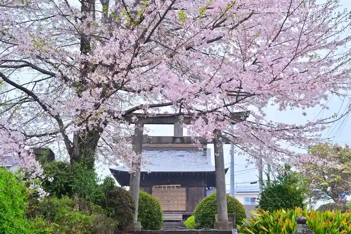 二之宮浅間神社(静岡県)
