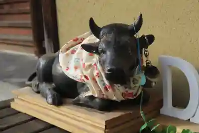 大松禅寺(京都府)