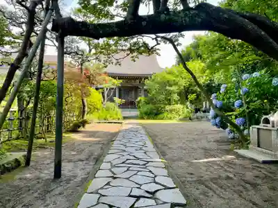教恩寺(神奈川県)
