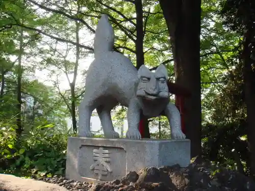 富士見稲荷神社の狛犬