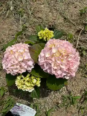 熊野福藏神社(福島県)