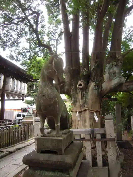 満足稲荷神社(京都府)