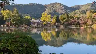 大覚寺(京都府)