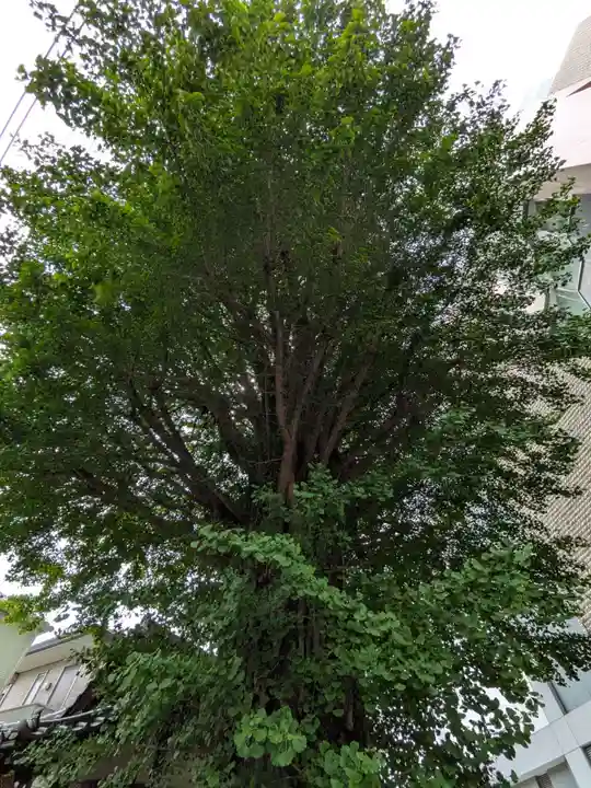 稼穡稲荷社(東京都)