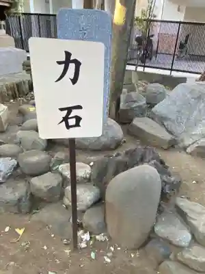 鳩ヶ谷氷川神社(埼玉県)