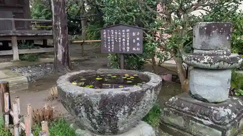 極楽寺（霊鷲山感應院極楽律寺）の手水