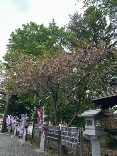 豊栄神社(北海道)