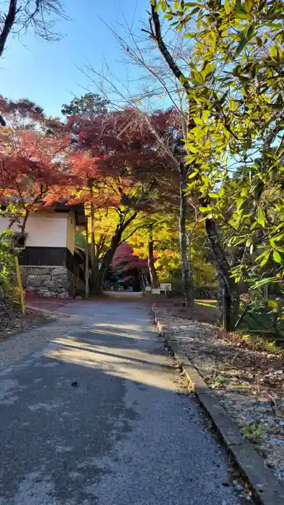 清滝寺徳源院(滋賀県)