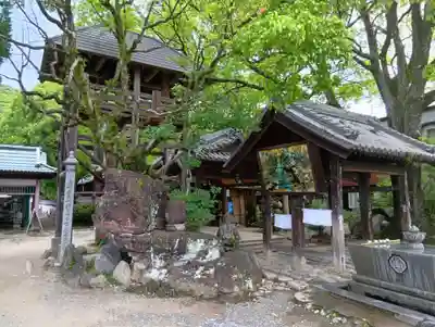 石手寺の手水舎