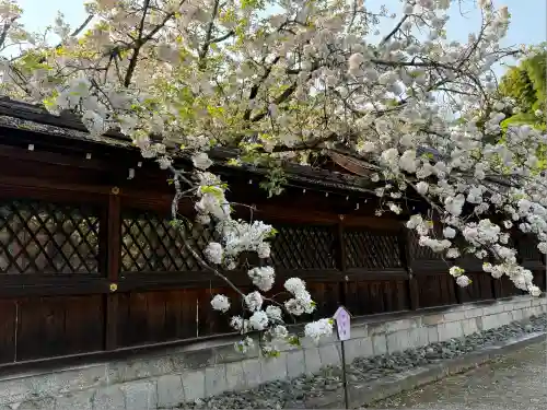 平野神社(京都府)