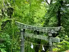 菱野健功神社の鳥居