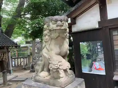 三条八幡神社の狛犬
