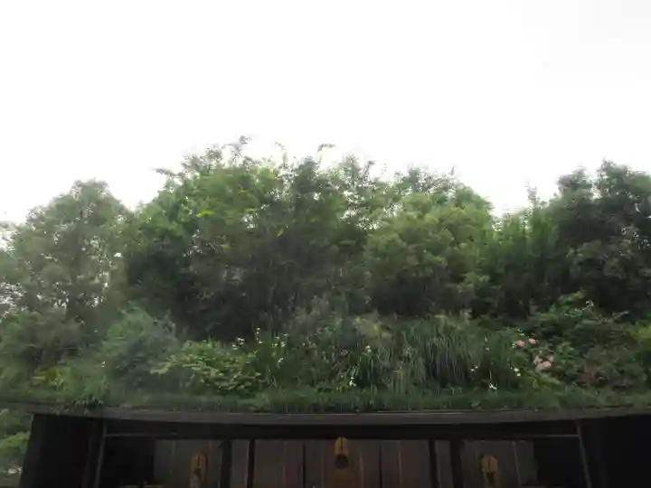 太宰府天満宮(福岡県)