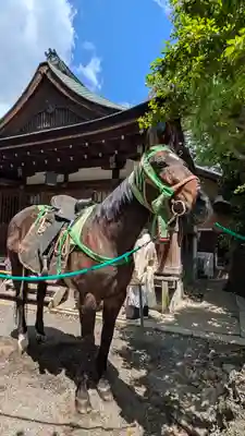 熊野神社(京都府)