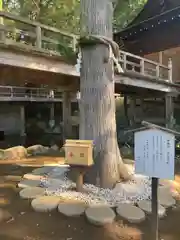 身曾岐神社(山梨県)