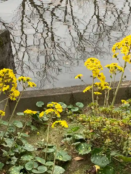 御嶽山 白龍神社の自然