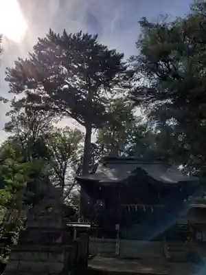 熊野神社(東京都)