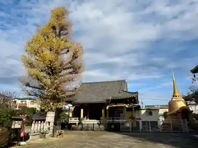福王山  慈眼寺(東京都)