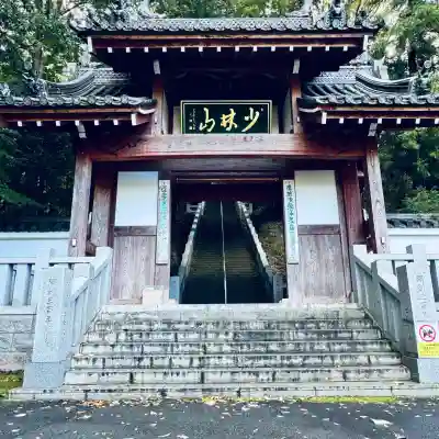 達磨寺(群馬県)