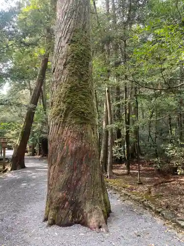 瀧原宮(皇大神宮別宮)(三重県)