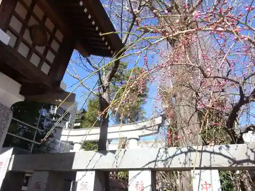 京濱伏見稲荷神社の自然