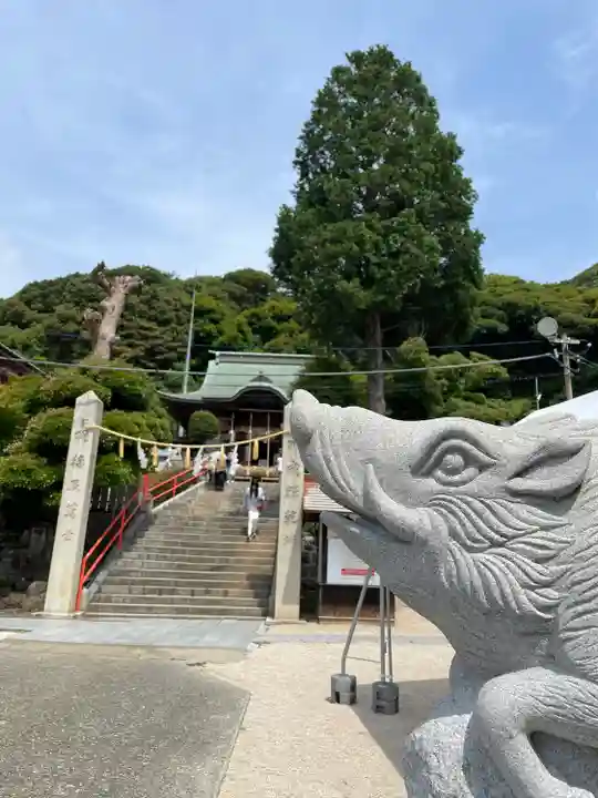 足立山妙見宮(御祖神社)の狛犬