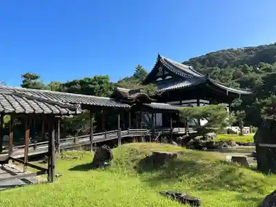 高台寺（高台寿聖禅寺・高臺寺）(京都府)