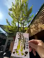 白山神社の御朱印