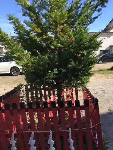 潮見ヶ岡神社の自然