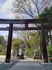 東郷神社の鳥居