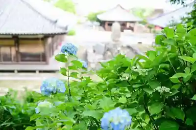 浄土寺(兵庫県)
