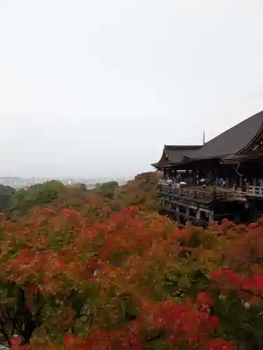 清水寺(京都府)