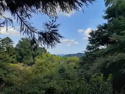 八王寺(埼玉県)