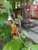 秩父札所十三番 慈眼寺の庭園