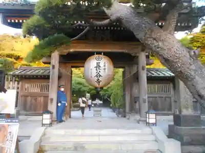 長谷寺の山門・神門