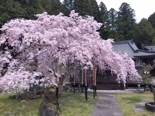 大聖院(京都府)