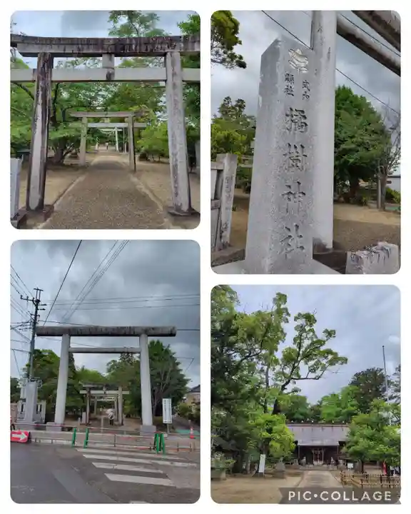 橘樹神社(千葉県)