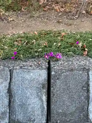 八幡社(千葉県)