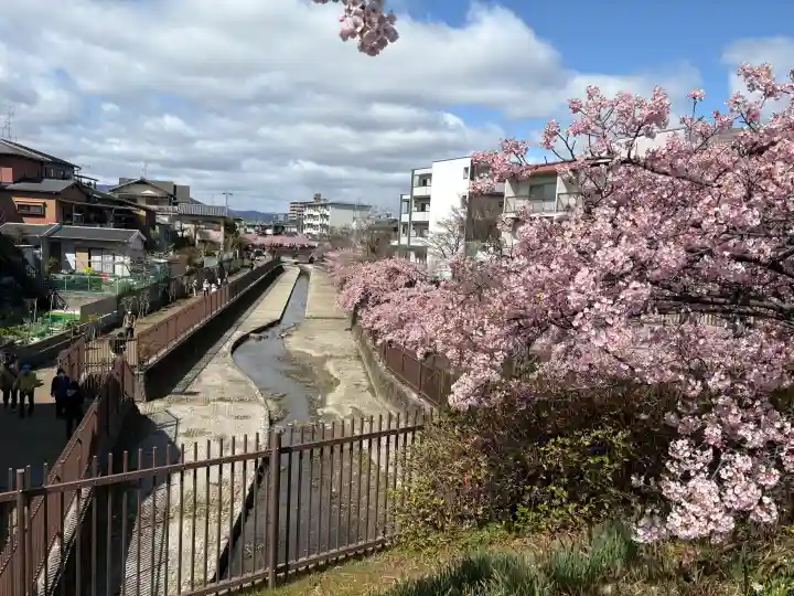 長円寺の{uncategorized: "未分類", other: "その他", undefined: "問題あり", building: "その他建物", grave: "お墓", sacred_gate: "鳥居", guardian: "狛犬", statue: "像", buddha: "仏像", history: "歴史", nature: "自然", garden: "庭園", animal: "動物", pagoda: "塔", temizu: "手水舎", mountain_gate: "山門・神門", sanctuary: "本殿・本堂", subordinate: "末社・摂社", art: "芸術", scenery: "景色", jizo: "地蔵", ema: "絵馬", goshuin: "御朱印", omikuji: "おみくじ", items: "授与品その他", amulet: "お守り", goshuincho: "御朱印帳", eats: "食事", festival: "お祭り", votive_dance: "神楽", shichigosan: "七五三参", wedding: "結婚式", experience: "体験その他", initially: "初詣", around: "周辺", anti_infection: "感染症対策"}